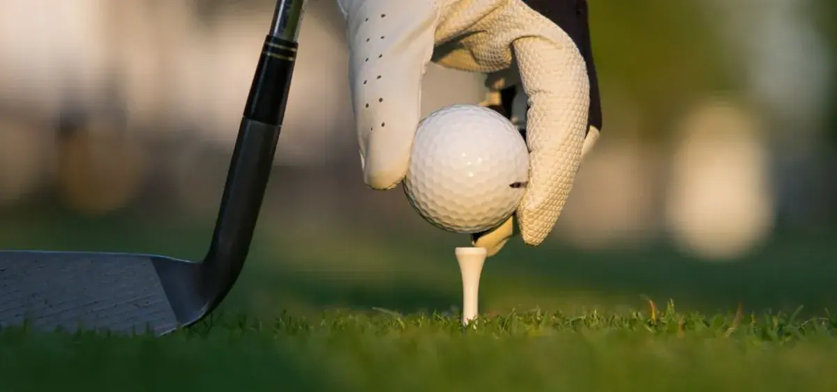 Zielone pole golfowe w okolicy Kątna